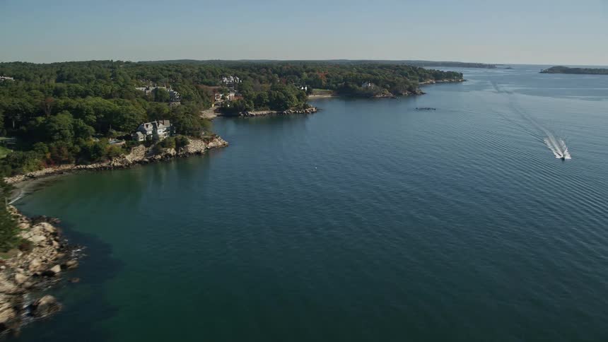 Aerial of a small coastal town hidden by vegetation