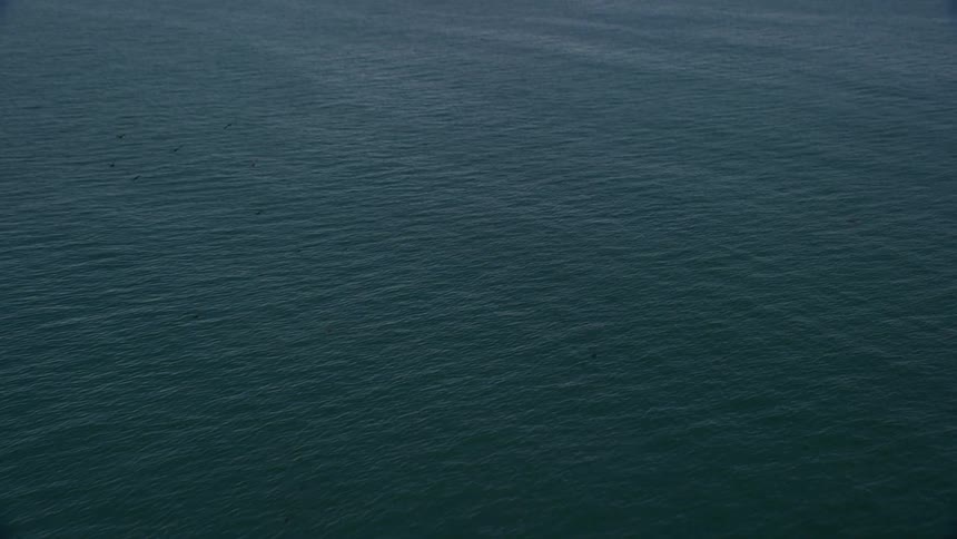 Some birds flying in a region with a huge blue ocean and a land behind