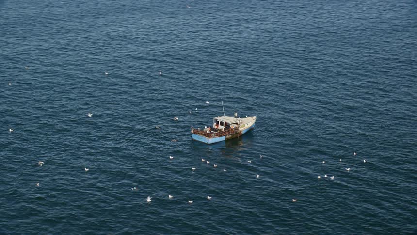 Aerial of a boat in the middle of the sea with birds around it