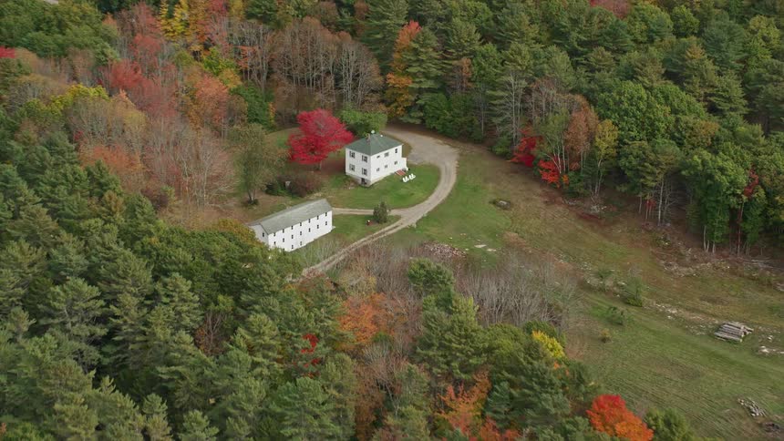 A ranch is in the middle of the forest