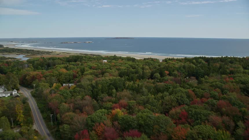 Trees isolated buildings and the sea at midday