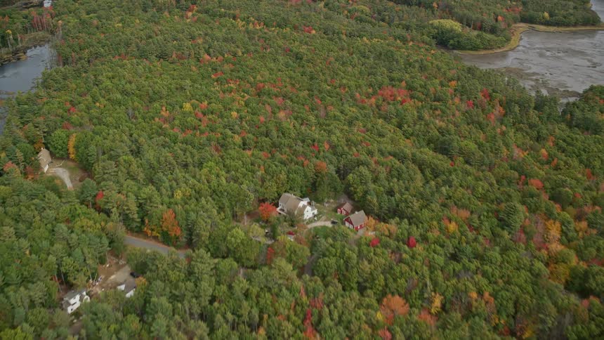 An aerial shot of a forest with rural buildings near a waterway in autumn