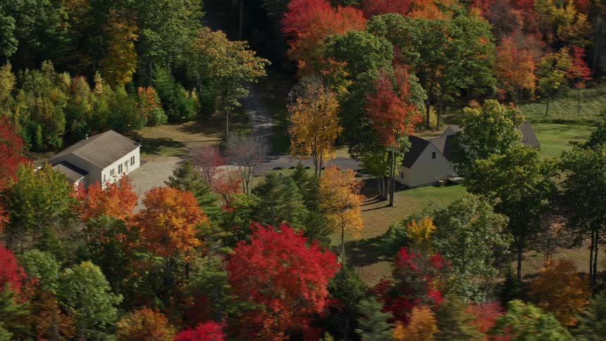 Aerial of an isolated building surrounded by trees at midday