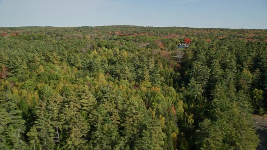 Aerial view of a mansion in the midst of a forest by the seaside