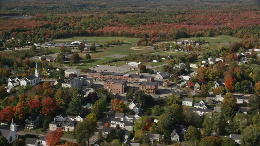 Aerial panorama of an urban city with extensive coniferous vegetation