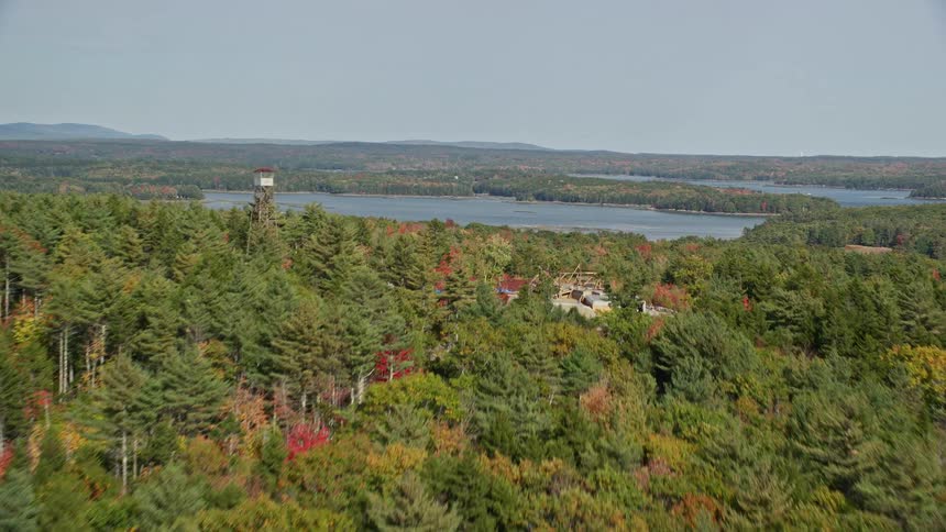 Aerial view of a woodland and a river
