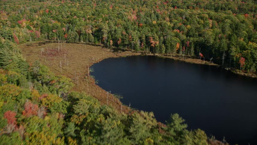 An aerial view of a wood forest