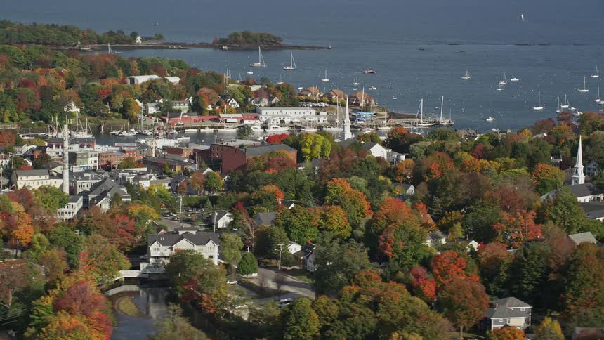Aerial view of coastal town surrounded by trees and boats