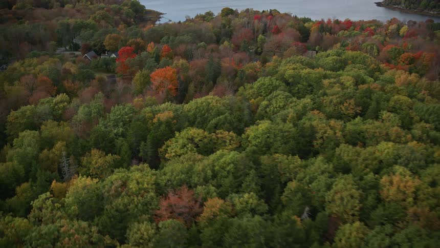 Aerial view of a brown and red forested area with a body of water