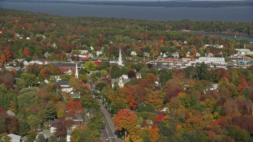 Aerial panorama of an urban city by the seaside with extensive vegetation