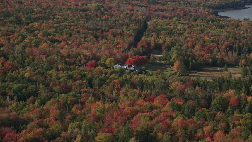Aerial panorama of some houses amidst forests by the seaside