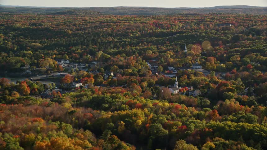 Aerial view of an urban city amidst an autumn forest
