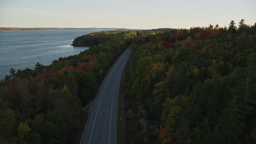Aerial view of a road through the forest next to the coast