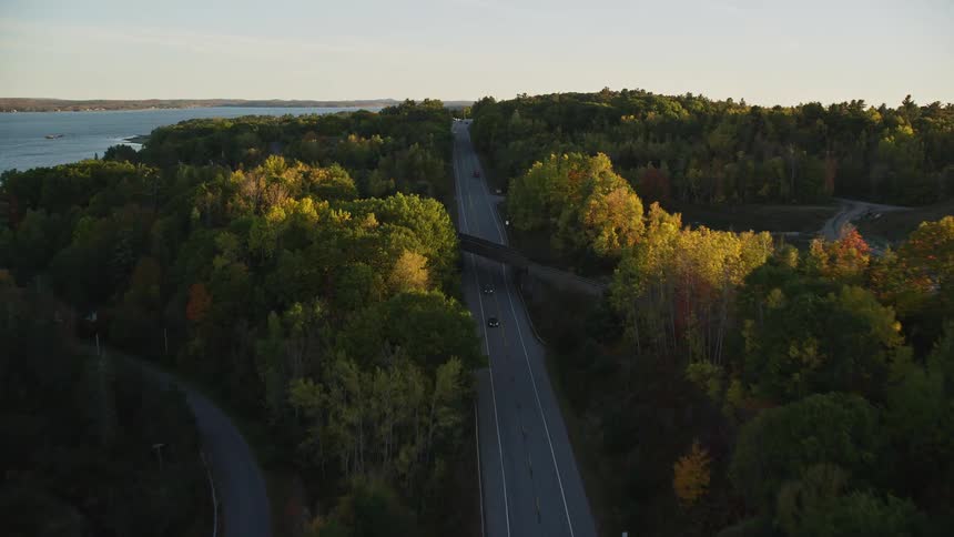 Aerial panorama of a road by the edge of a forest and the sea