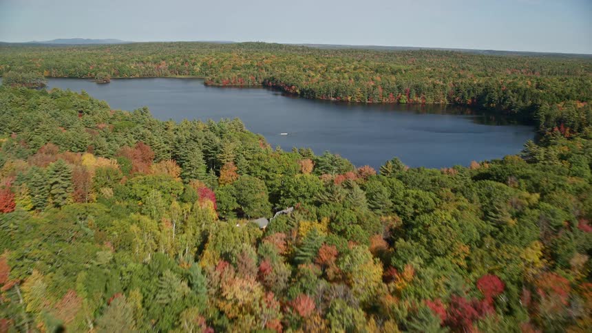 Aerial view of trees and fall colors near lake