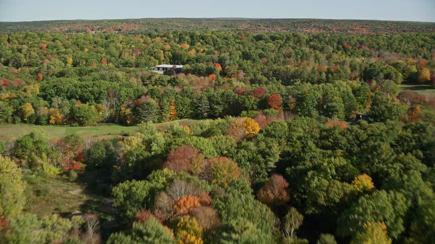 Aerial panorama of some residences amidst forests
