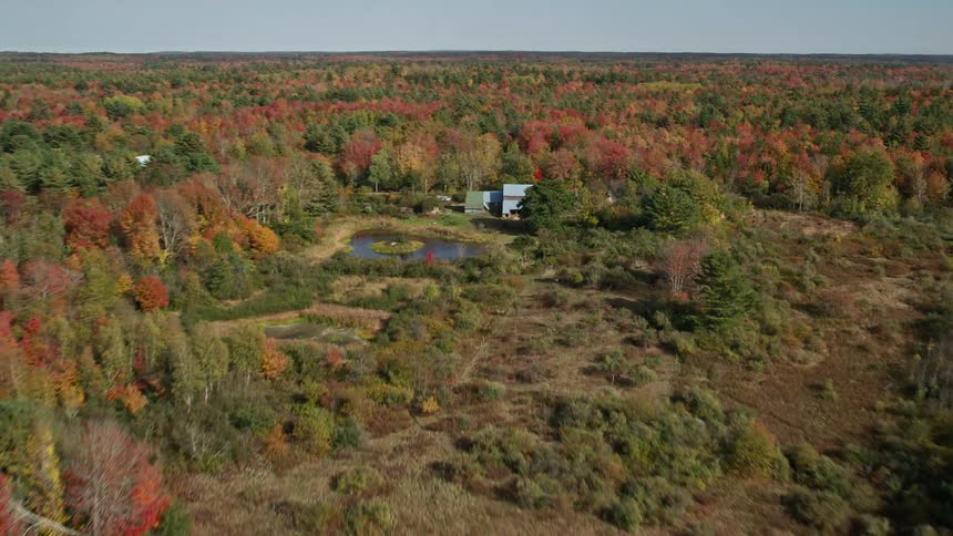 Aerial view of a small house in the middle of the forest