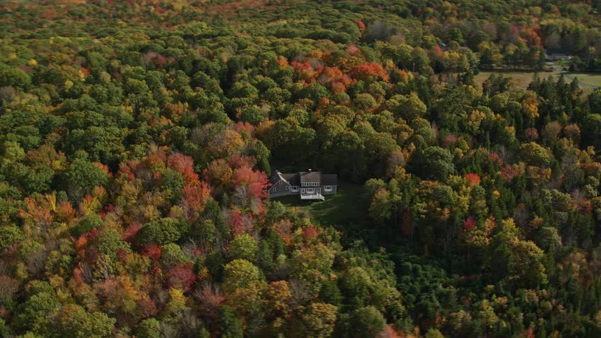 Residential property in the midst of a forest