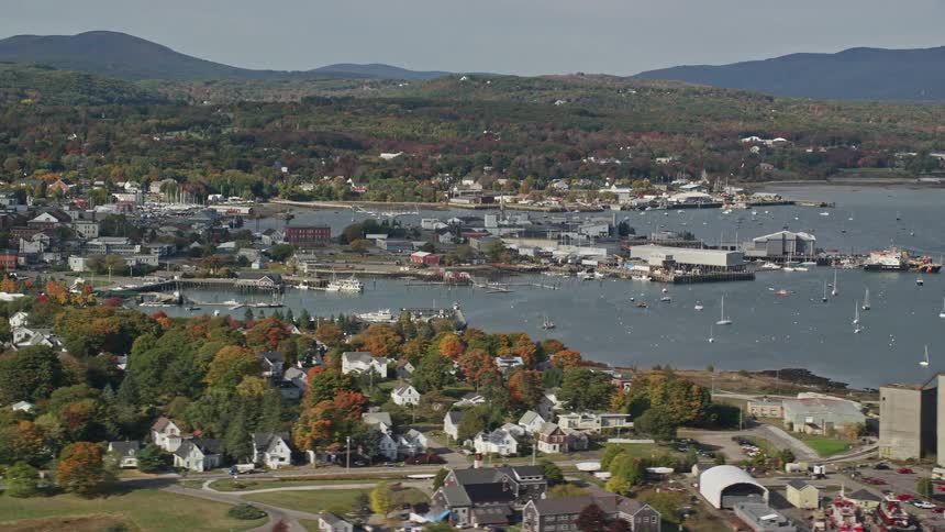 A coastal region with small houses and a marina full of boats in the water