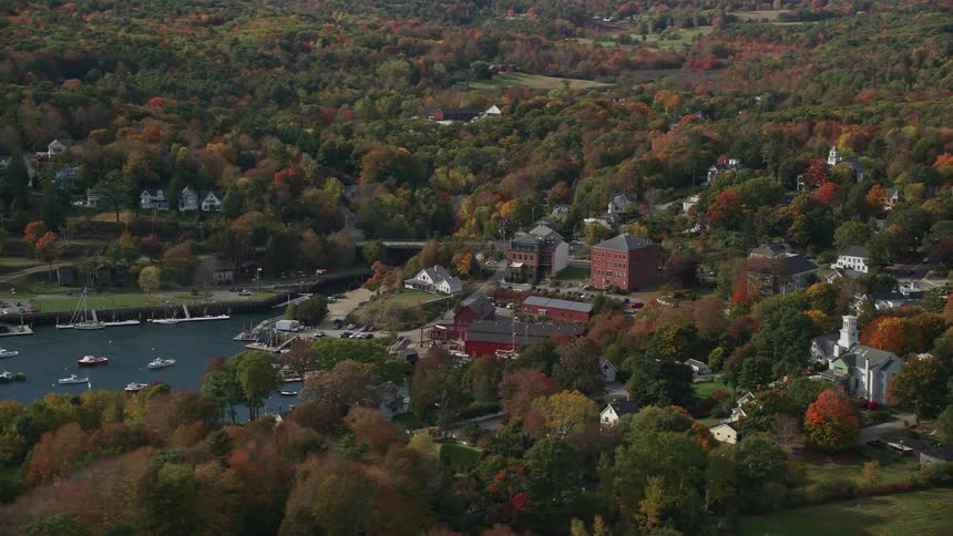 Aerial of a small coastal town surrounded by forest