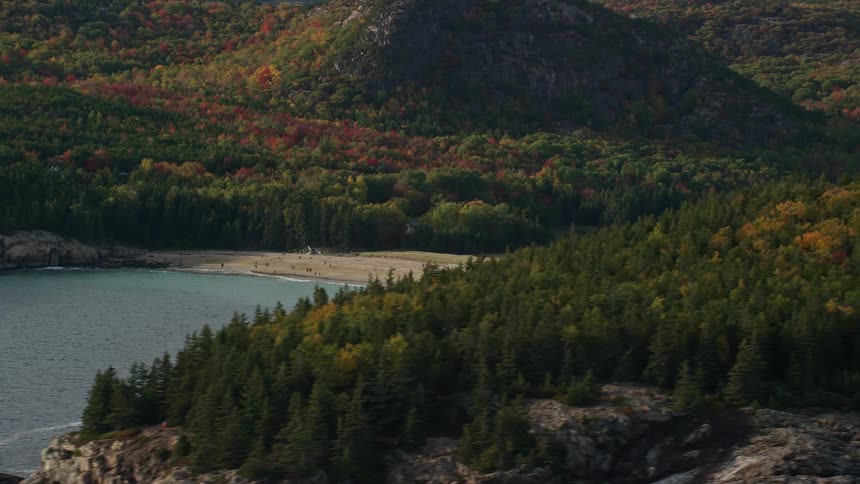 Aerial view of a beach in the coast of a forest next to the mountains