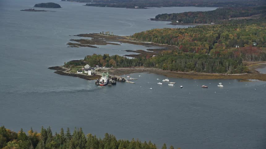 Trees forming forest surrounded by a river with boats seen on the water