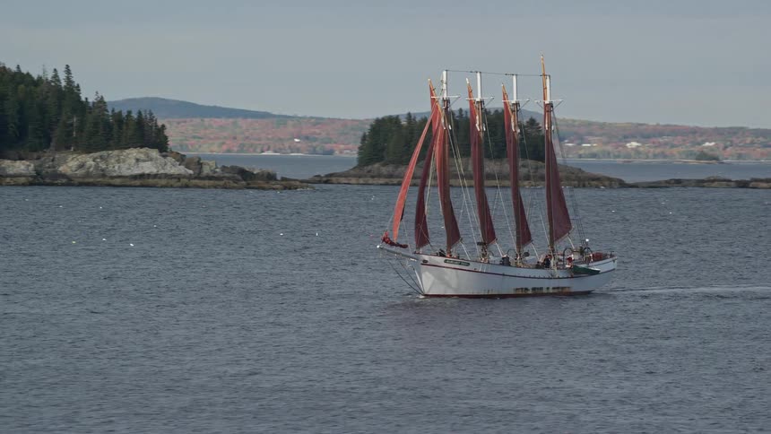 Sailboat sailing next to an islet in the lake