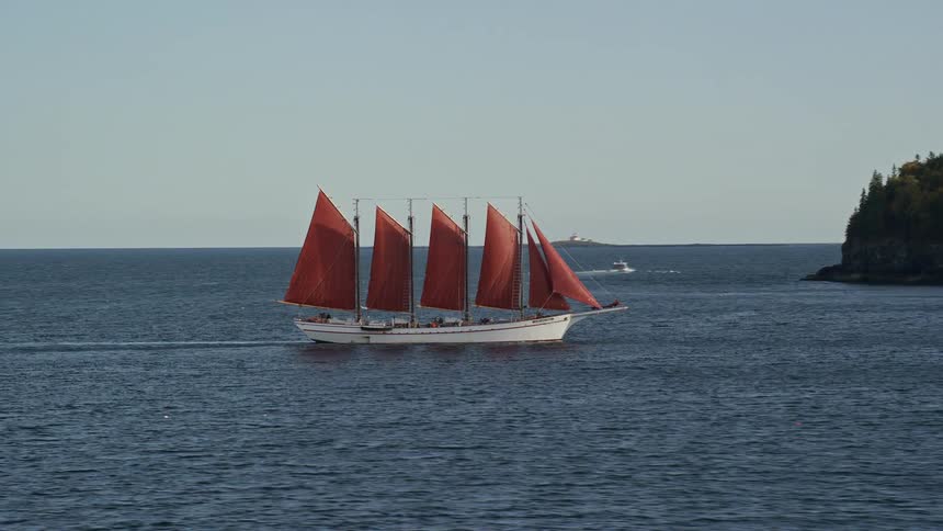 A ship filled with people sails near the forested coast with trees in bright fall colors