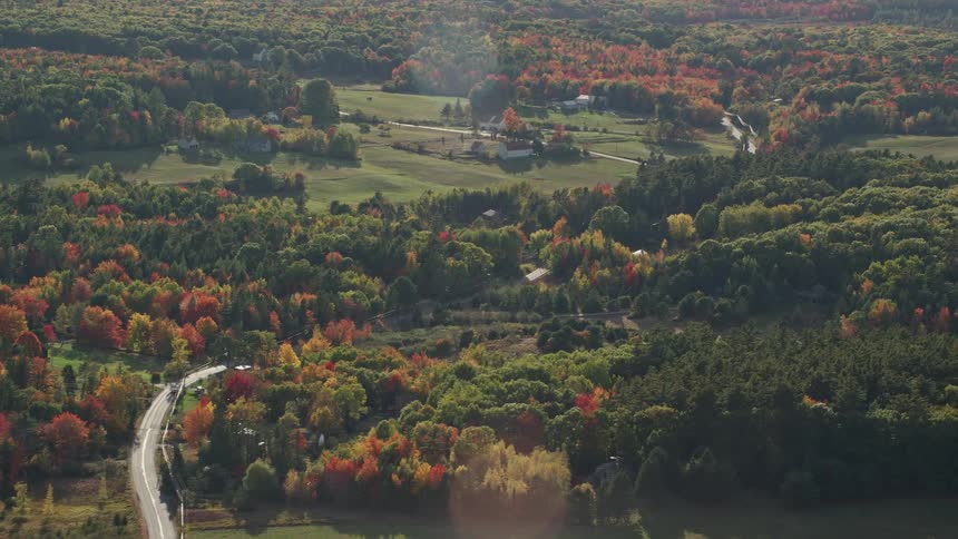 Aerial view of a winding road through a forested area