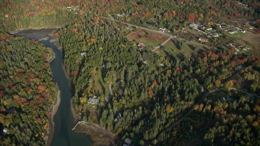 A rural region with a huge river in front and a large forest on the land