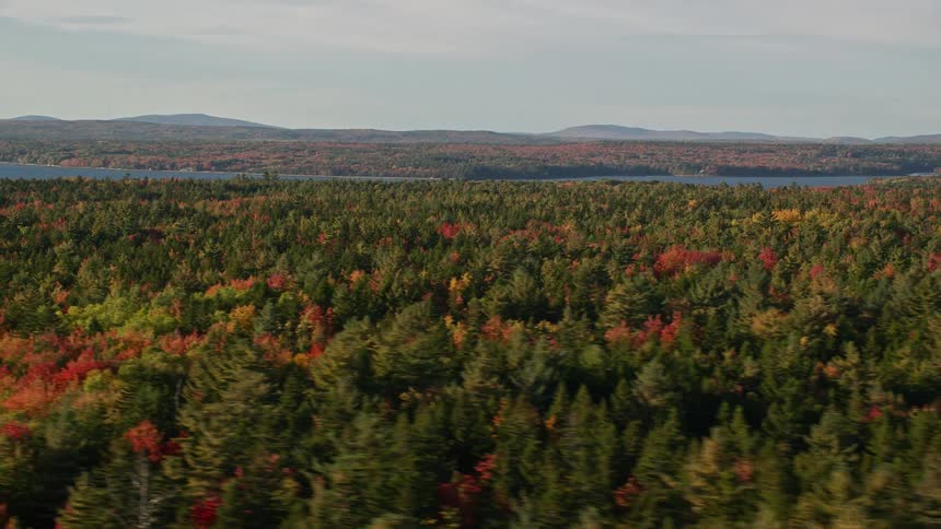 Aerial of a brown and red forest with a distant river
