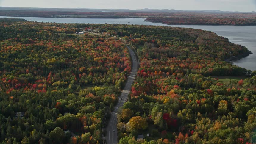 Aerial view of a winding road through a forested area near a river