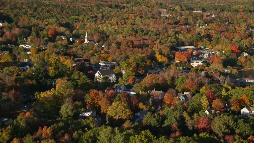 A sub urban town with trees surrounding buildings