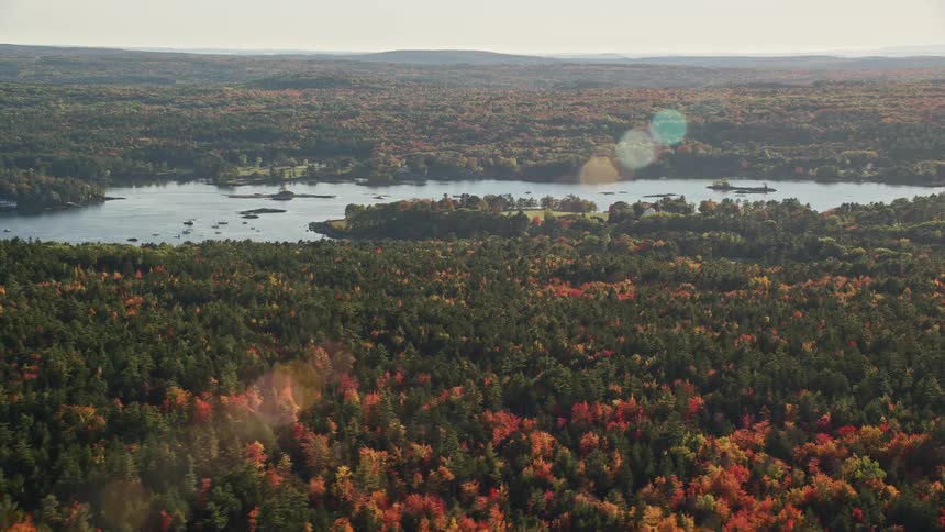 An aerial view of a river in the woods