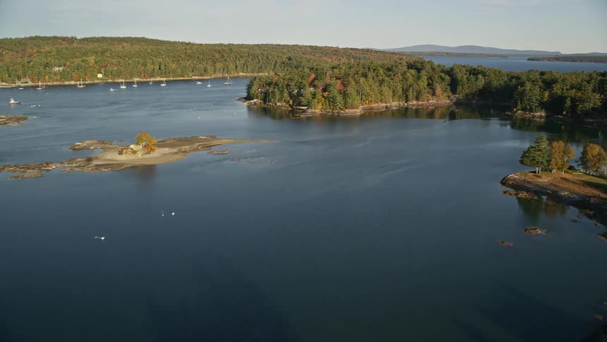 Aerial view of a sea with coastline and forests