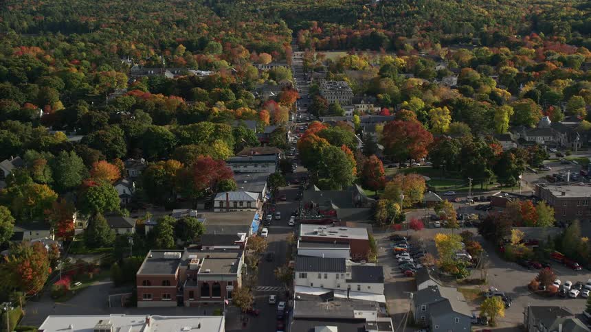 Aerial view of a coastal town with streets and a forested area