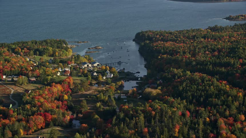 Aerial view of a coastal town and a red and brown forest