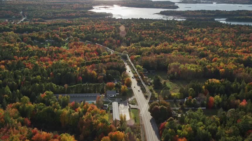 Traffic moves on a road surrounded by trees in bright fall colors as they move through a rural neighborhood along the coast
