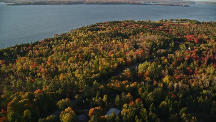 Aerial of a rural community surrounded by an autumn forest that borders a large lake
