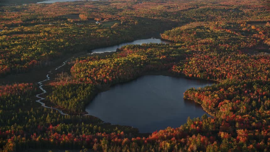 Forests of trees in bright fall colors surround lakes and a stream