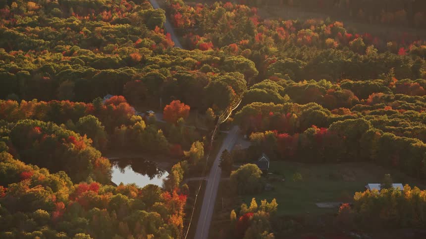 Aerial panorama of a highway through a forest