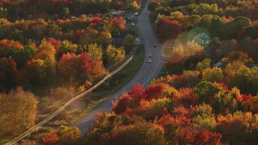 A huge street with some cars passing through a forest of trees with orange leaves