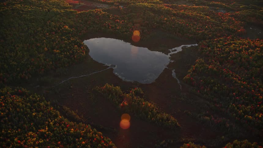 Skyline of a small lake in the middle of the forest