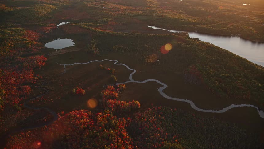 Aerial panorama of a river in nature with the morning sunlight
