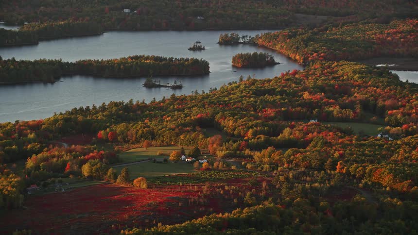 Aerial view of a house in a forested area near a lake