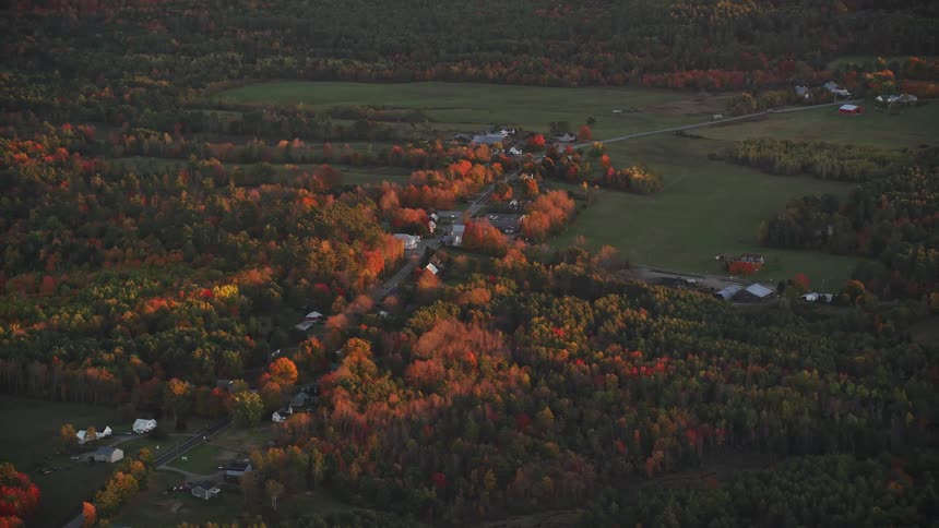 Aerial view of houses amidst the forests in the countryside