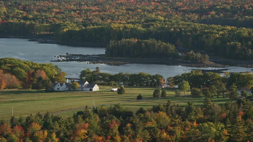 Aerial view of waterfront houses near river and forested area