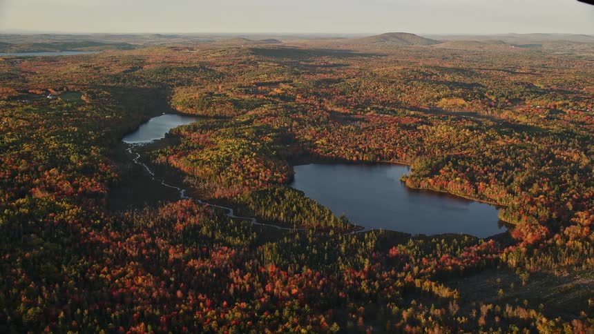 Skyline of a river in the middle of the forest during the day