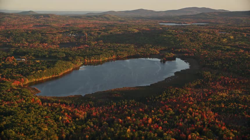 Aerial view of a forested lake in autumn