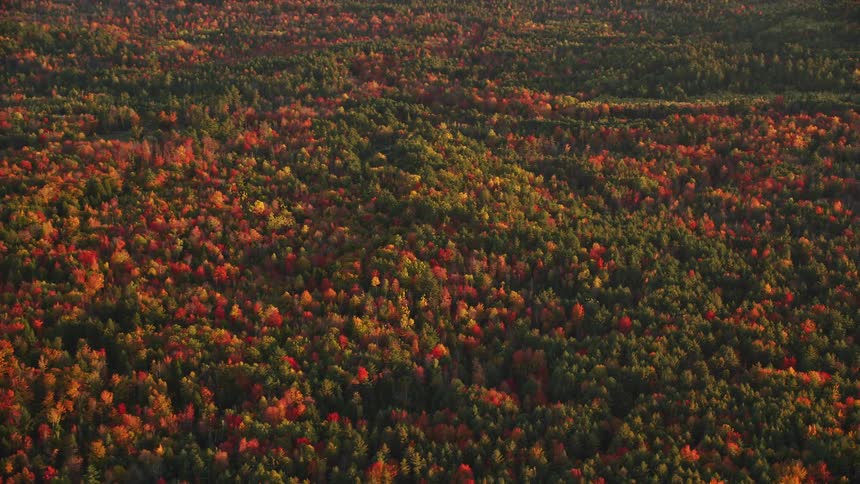 Aerial view of a landscape with forest with the leaves just beginning to change so there is a mix of mostly green with some orange and yellow leaves